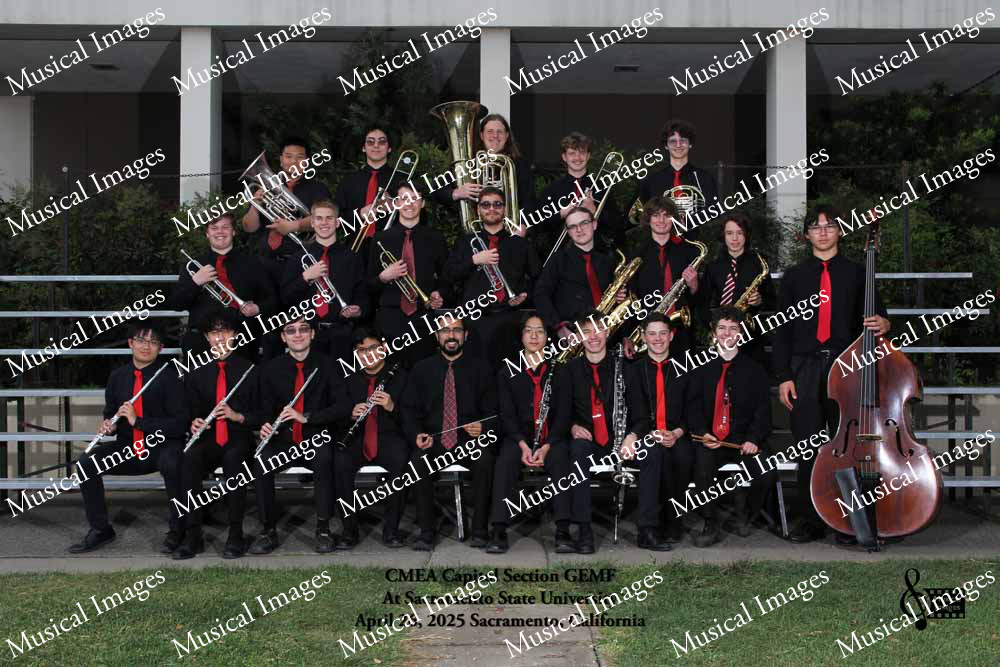 Musical Images